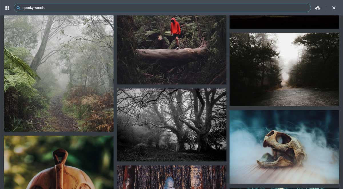 Searching for images that match spooky woods.