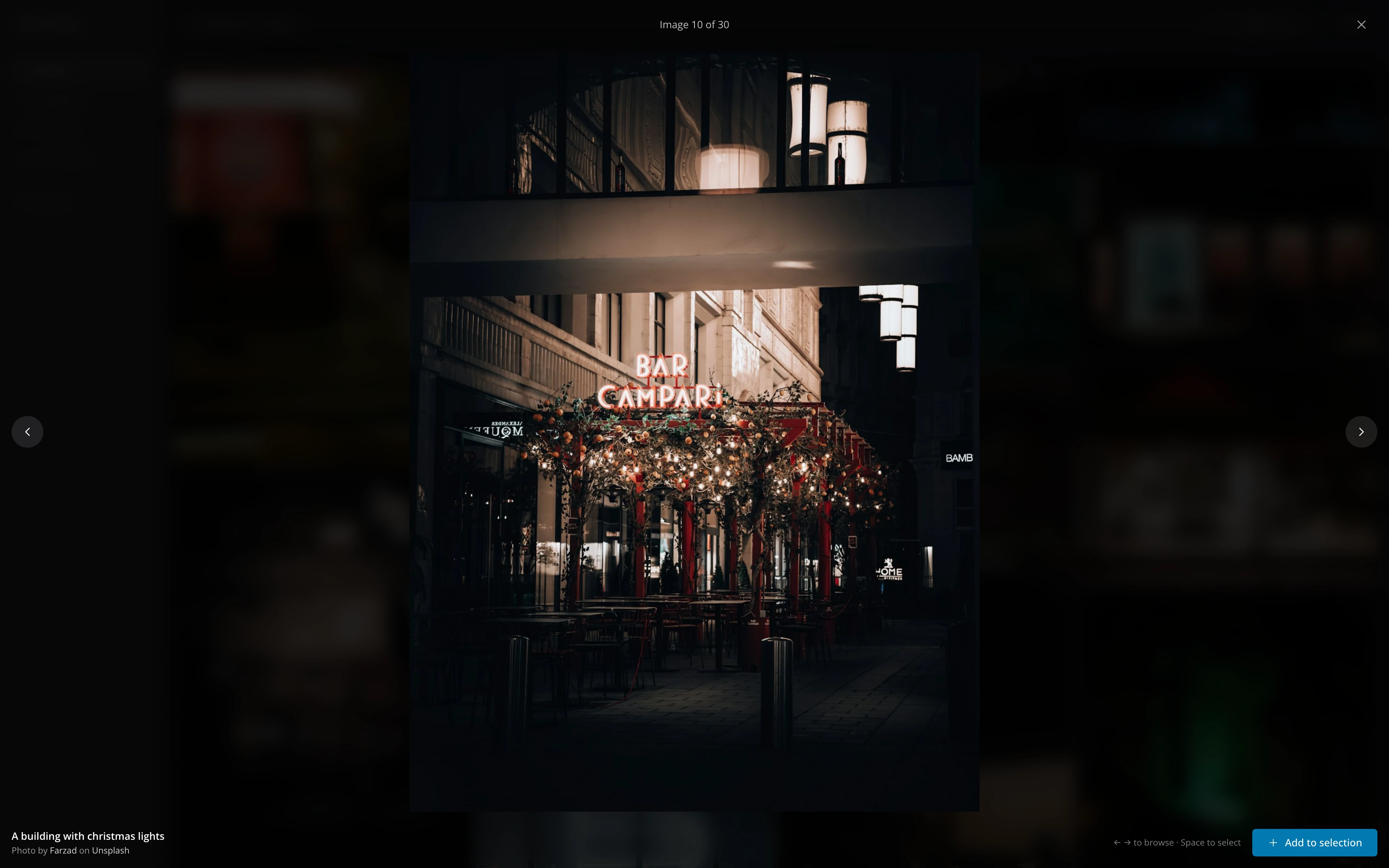 A photo opened large in the image preview, with its place in the list (Image 10 of 30) at the top, the arrows either side, the photographer's credit and the Add to selection button